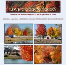 Maple Valley/ Love Creek Nursery Old Website